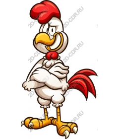  Character Cheeky Chicken