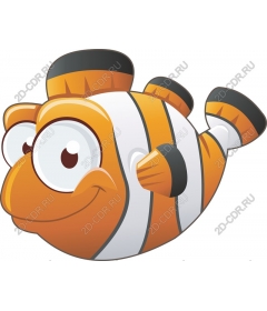  Adorable clown fish
