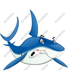  Cartoon shark