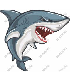  Ferocious Shark