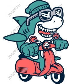  The playful scooter Shark