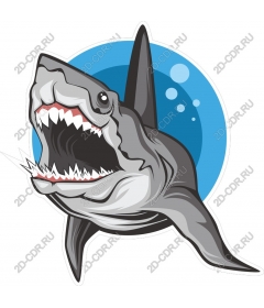  Ferocious Shark
