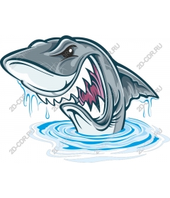  Ferocious Shark