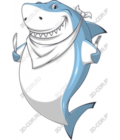 Funny chef Shark
