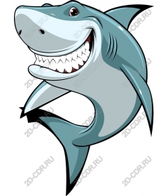  Cartoon shark