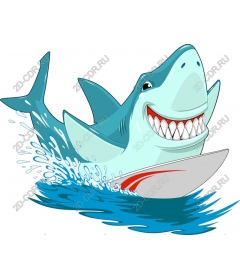  A playful shark
