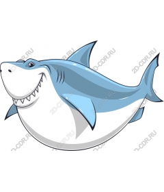  Bright shark