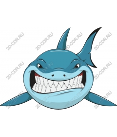 Playful cartoon shark
