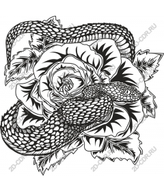 Intricate snake and rose