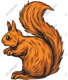  Adorable Squirrel