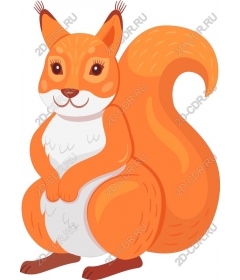  Adorable cartoon squirrel