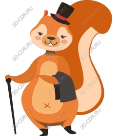  Adorable squirrel gentleman
