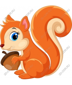  Adorable Squirrel