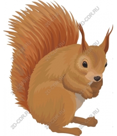  Fancy squirrel
