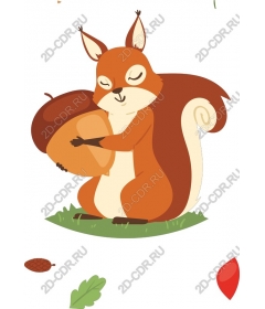  Adorable squirrel with acorn