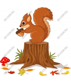  Adorable Squirrel