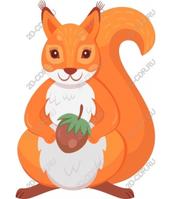  Cute squirrel holding acorn