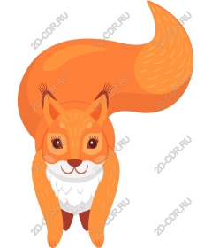 Live Fox