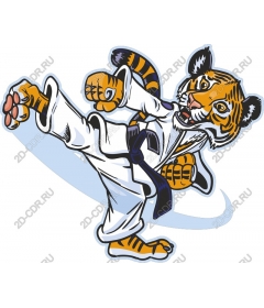  Tiger karate