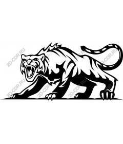 Roaring tiger