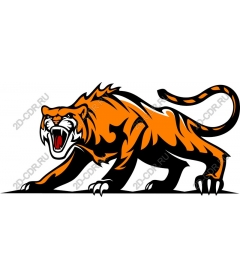 Roaring tiger