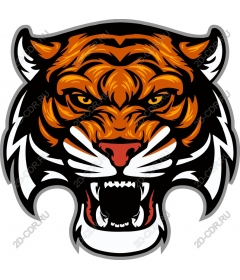  Голова свирепого тигра