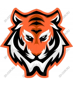 Head of a ferocious tiger
