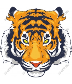 Majestic tiger head