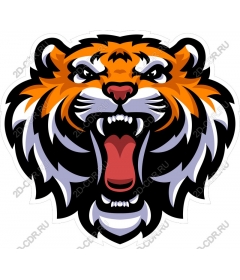 Head of a ferocious tiger