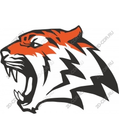 Roaring tiger