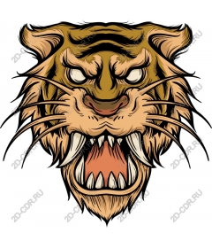 Head of a ferocious tiger