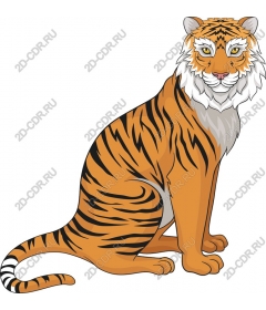 Majestic tiger