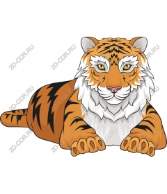 Majestic tiger