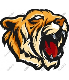  Roaring tiger head