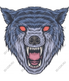 Head ferocious wolf