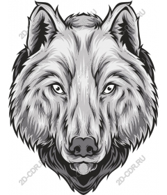 Wolf head