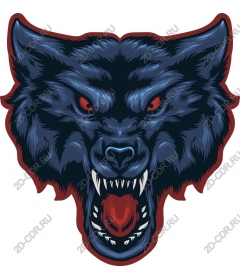 Head ferocious wolf