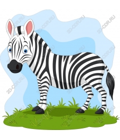  Cute cartoon Zebra