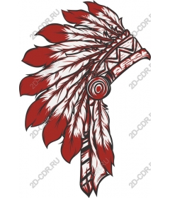  The traditional headdress of native Americans