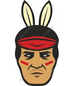 Indian warrior