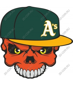 Daring skull in the baseball cap