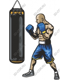 Training of the boxer