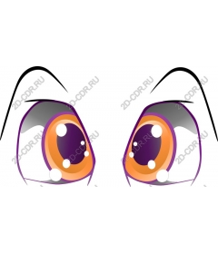  Bright eyes