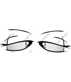  An elegant eye