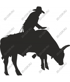  Cowboy riding a bull