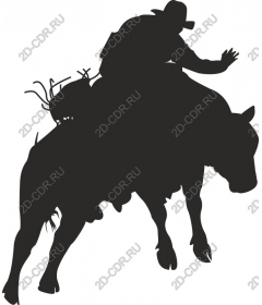  Cowboy on a bull