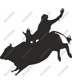  Cowboy riding a bull