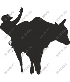  Cowboy Rodeo