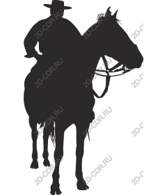  Cowboy