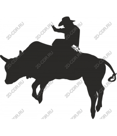 The rider on the bull